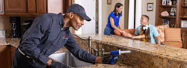 Real Estate Pest Inspections in Toledo, OR